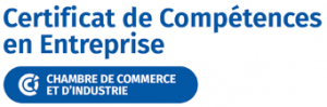 CCE de CCI France